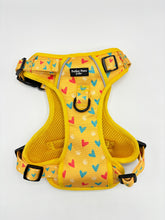 Load image into Gallery viewer, Adventure Paws Harness - Summer Lovin