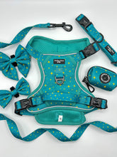 Load image into Gallery viewer, Teal Twilight Bundle