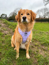 Load image into Gallery viewer, Adjustable Harness - Butterflies