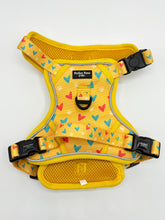 Load image into Gallery viewer, Summer Lovin Bundle