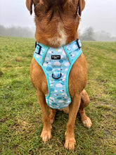 Load image into Gallery viewer, Adventure Paws Harness - I Love Ewe