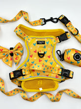 Load image into Gallery viewer, Summer Lovin Bundle