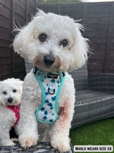 Load image into Gallery viewer, Adventure Paws Harness - Udderly Perfect Mint