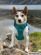 Load image into Gallery viewer, Adventure Paws Harness - Teal Twilight