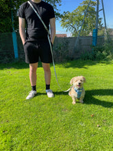 Load image into Gallery viewer, Multi-way Lead - Grey