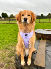 Load image into Gallery viewer, Adjustable Harness - Butterflies