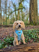 Load image into Gallery viewer, Adventure Paws Harness - I Love Ewe