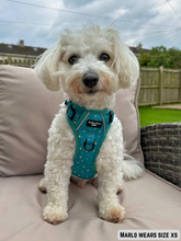 Load image into Gallery viewer, Adventure Paws Harness - Teal Twilight