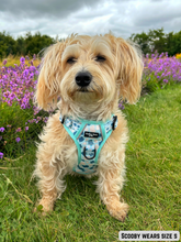 Load image into Gallery viewer, Adventure Paws Harness - Udderly Perfect Mint