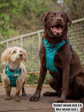 Load image into Gallery viewer, Adventure Paws Harness - Teal Twilight