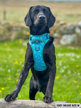 Load image into Gallery viewer, Adventure Paws Harness - Teal Twilight