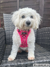 Load image into Gallery viewer, Adventure Paws Harness - Crimson Fall