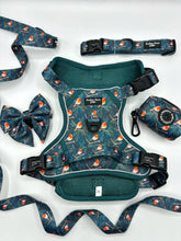 Load image into Gallery viewer, Rosy Robins Bundle