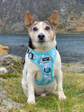 Load image into Gallery viewer, Adventure Paws Harness - I Love Ewe