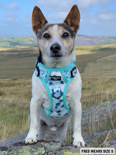 Load image into Gallery viewer, Adventure Paws Harness - Udderly Perfect Mint