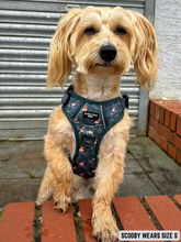Load image into Gallery viewer, Adventure Paws Harness - Rosy Robins