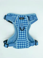 Load image into Gallery viewer, Adventure Paws Harness - Adventure Hound