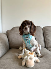 Load image into Gallery viewer, Adventure Paws Harness - I Love Ewe
