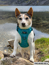 Load image into Gallery viewer, Adventure Paws Harness - Teal Twilight
