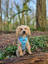 Load image into Gallery viewer, Adventure Paws Harness - I Love Ewe
