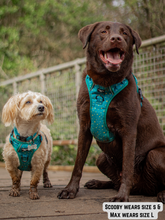 Load image into Gallery viewer, Adventure Paws Harness - Teal Twilight
