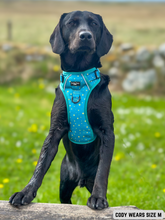 Load image into Gallery viewer, Adventure Paws Harness - Teal Twilight
