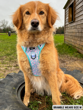 Load image into Gallery viewer, Adventure Paws Harness - Udderly Perfect
